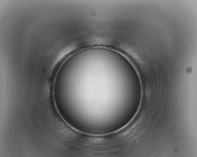 X0000094361309200711091506
