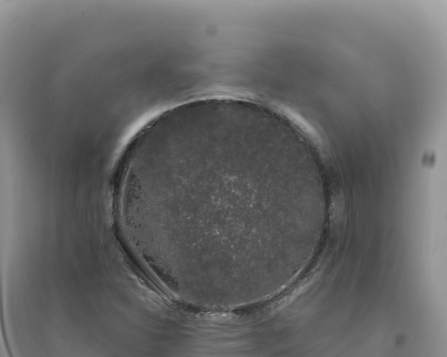 X0000094361310200711091506