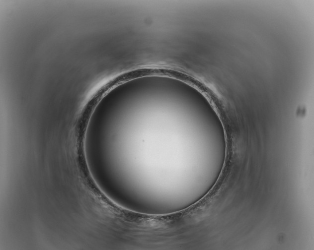 X0000094361311200711091506