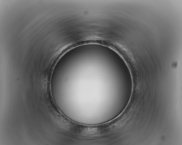 X0000094361313200711091506