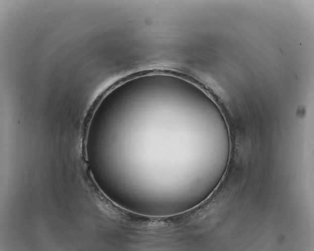 X0000094361316200711091506