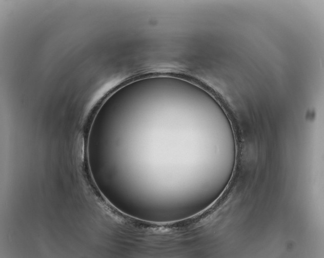 X0000094361317200711091506