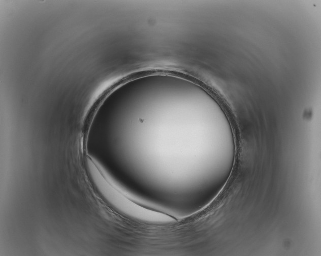 X0000094361320200711091506