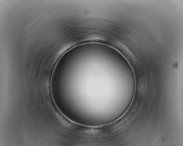 X0000094361321200711091506