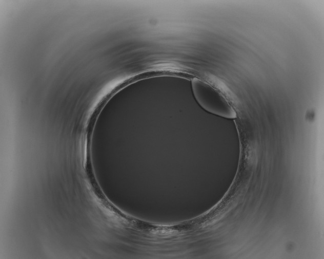 X0000094361323200711091506