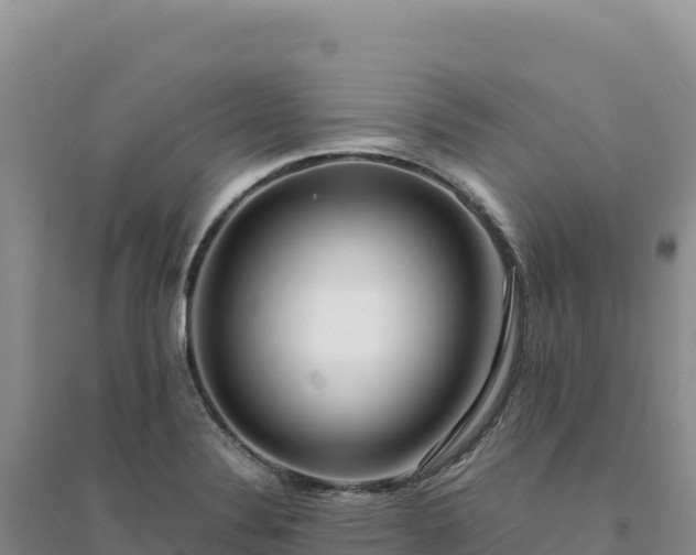 X0000094361324200711091506