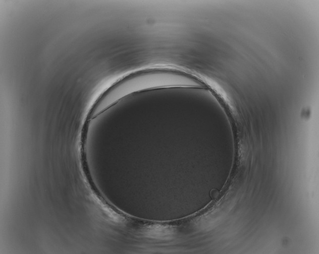 X0000094361327200711091506