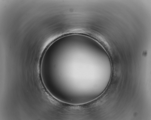 X0000094361328200711091506