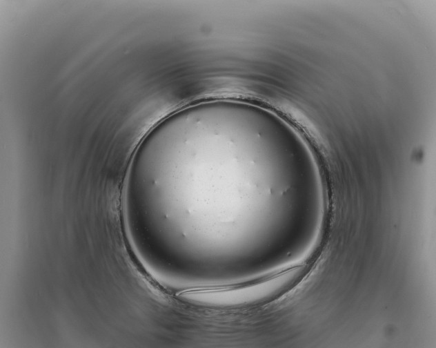 X0000094361329200711091506