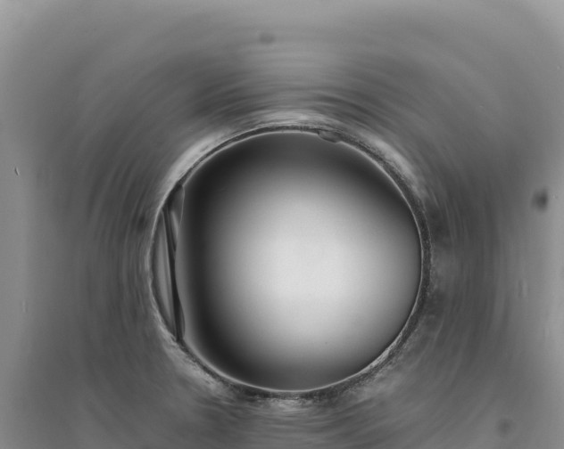 X0000094361330200711091506
