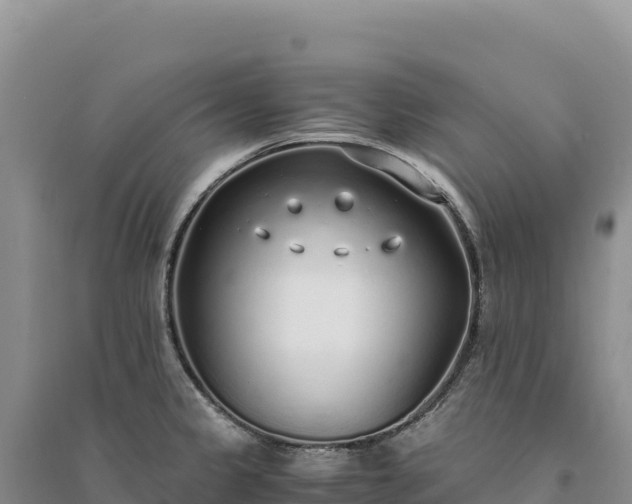 X0000094361333200711091506