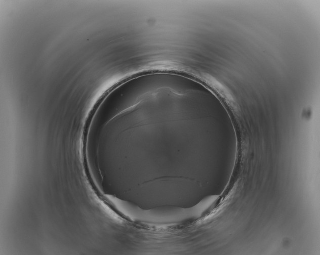 X0000094361334200711091506
