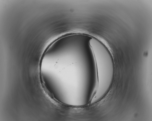 X0000094361335200711091506