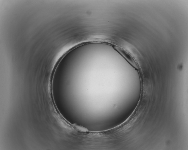 X0000094361336200711091506
