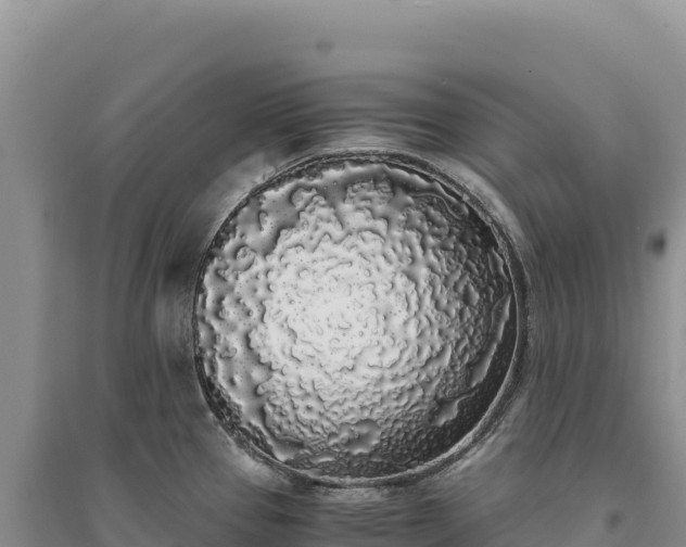 X0000094361337200711091506