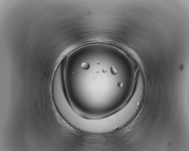 X0000094361338200711091506