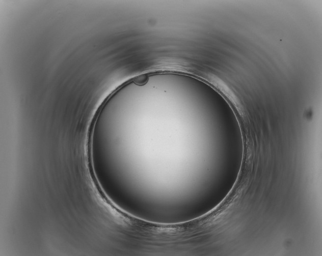 X0000094361339200711091506
