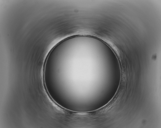 X0000094361343200711091506