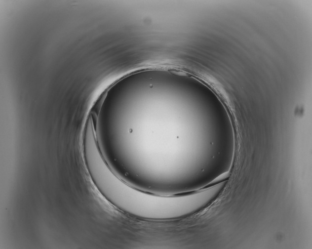 X0000094361344200711091506