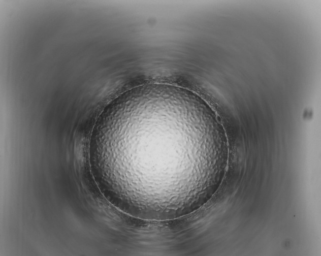 X0000094361346200711091505