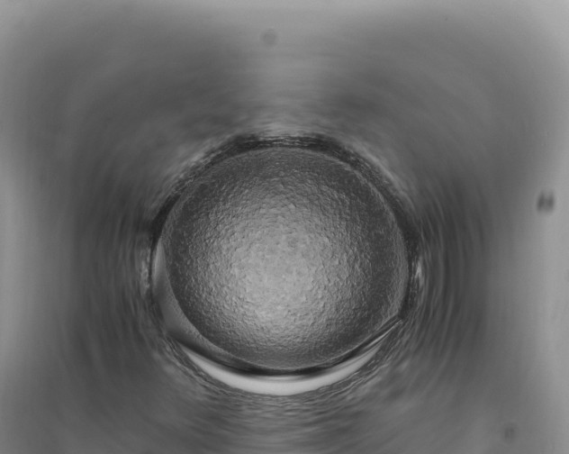 X0000094361348200711091505