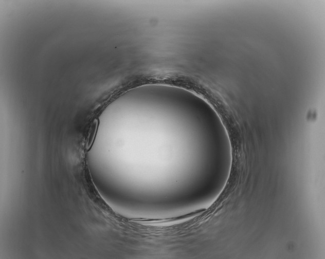 X0000094361349200711091505