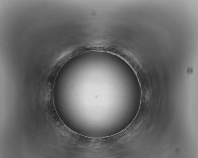 X0000094361350200711091505