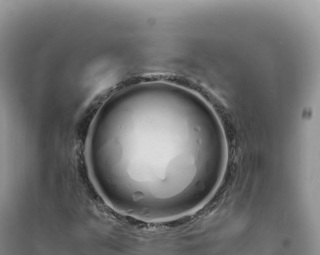X0000094361351200711091505
