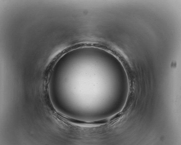 X0000094361352200711091505