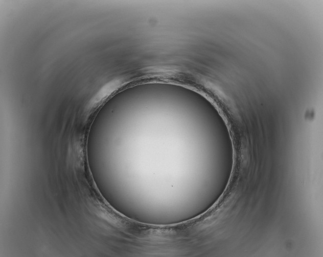 X0000094361354200711091505