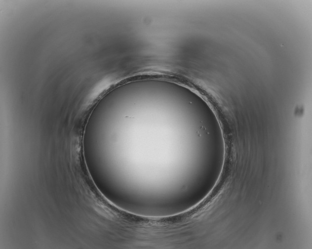 X0000094361355200711091505