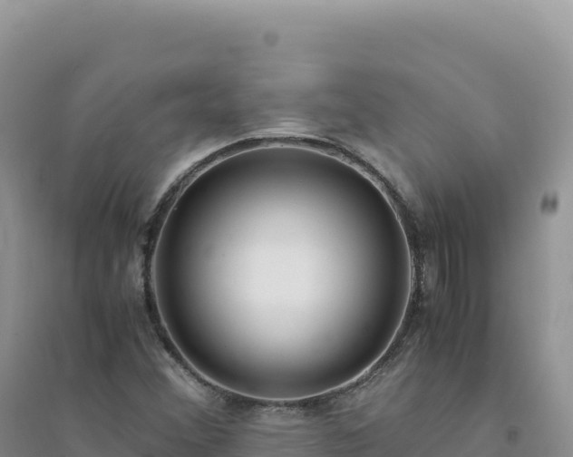 X0000094361356200711091505