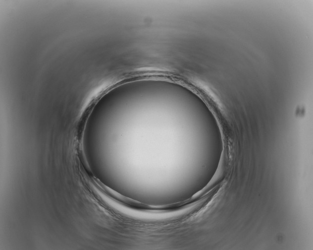 X0000094361357200711091505