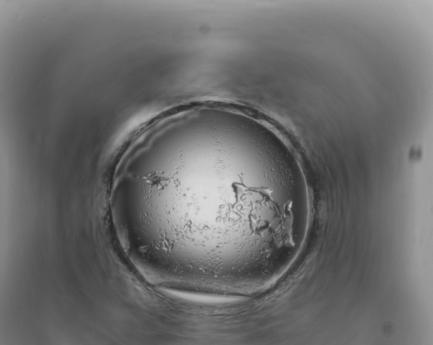X0000094361359200711091505