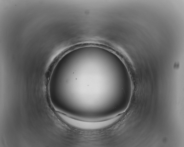 X0000094361360200711091505