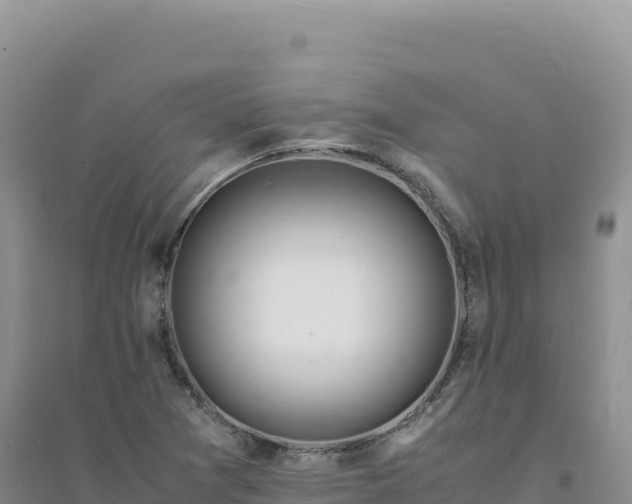 X0000094361361200711091505