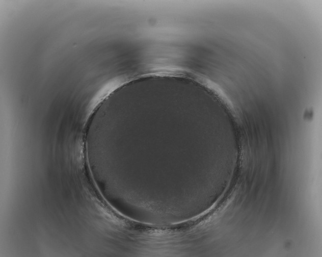 X0000094361362200711091505