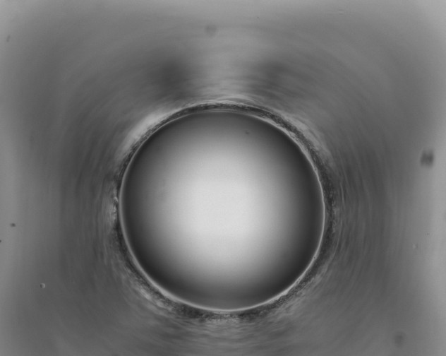 X0000094361363200711091505