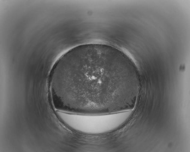 X0000094361364200711091505