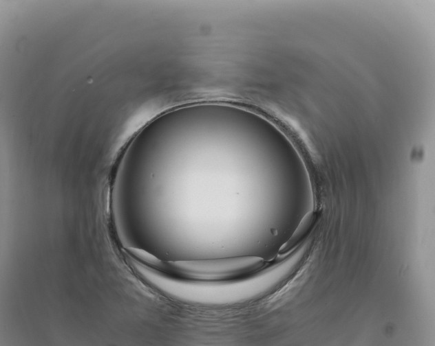 X0000094361365200711091505