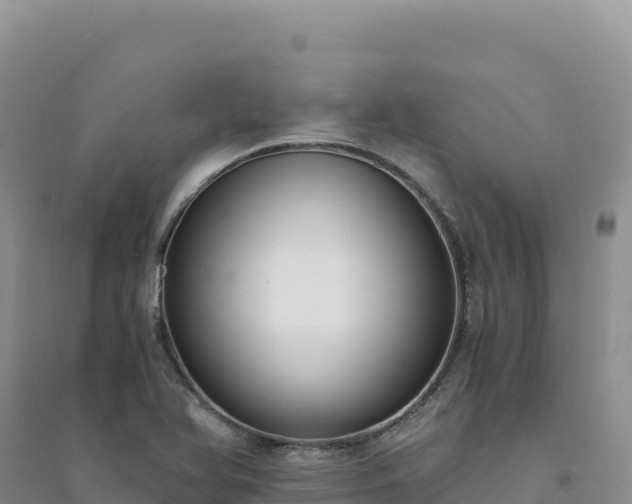 X0000094361366200711091505
