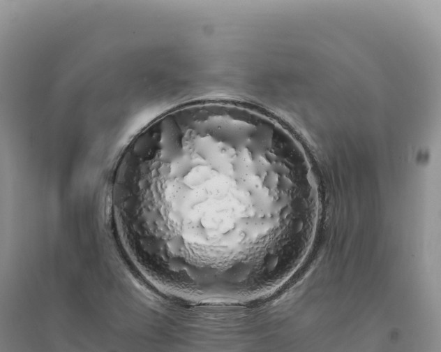 X0000094361367200711091505