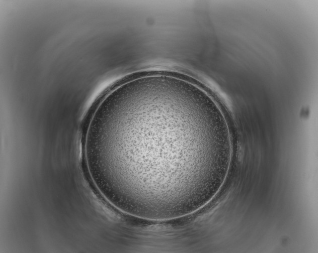 X0000094361368200711091505