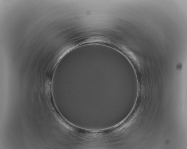 X0000094361369200711091505
