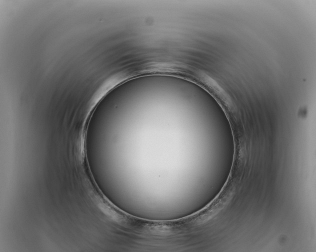 X0000094361370200711091505