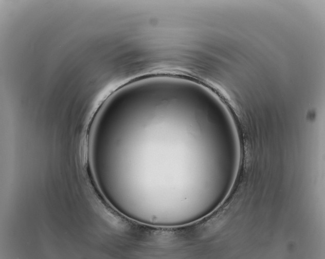 X0000094361371200711091505