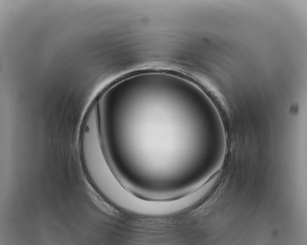 X0000094361372200711091505