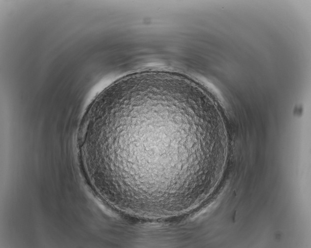 X0000094361373200711091505