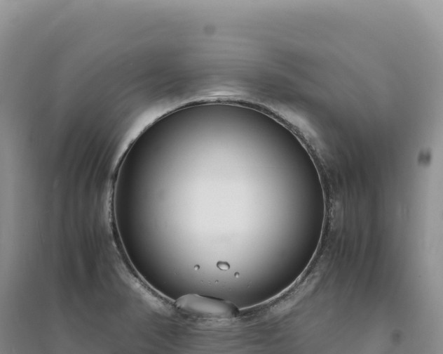 X0000094361374200711091505