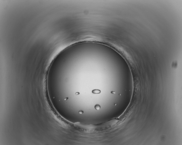 X0000094361375200711091505